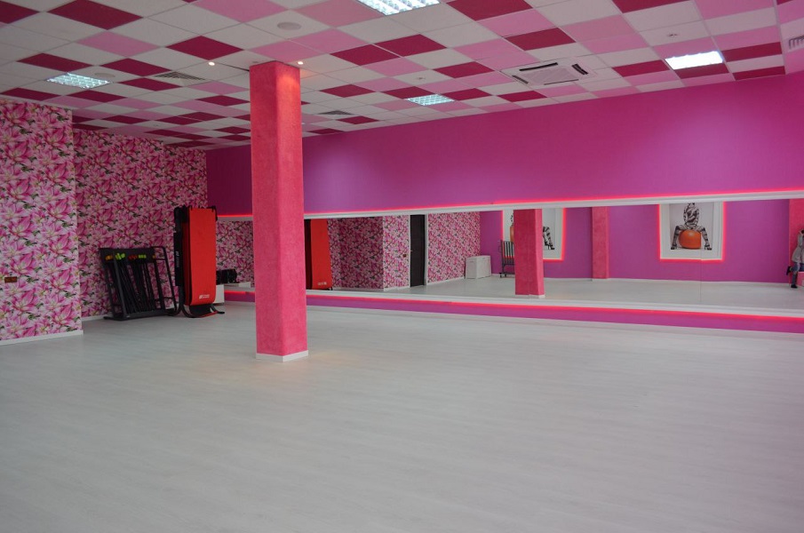 Зебра Олимпийский