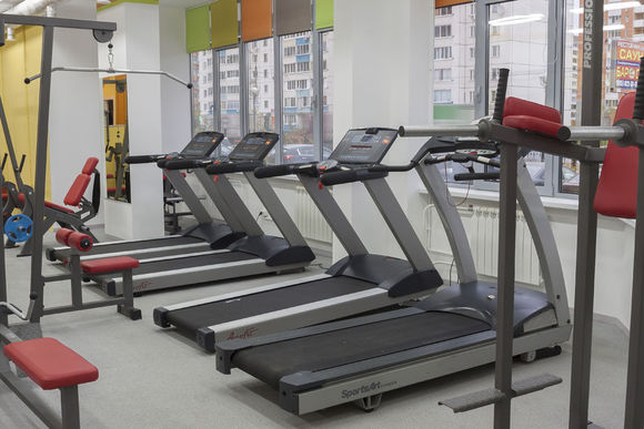 Yellow Sun, Родники