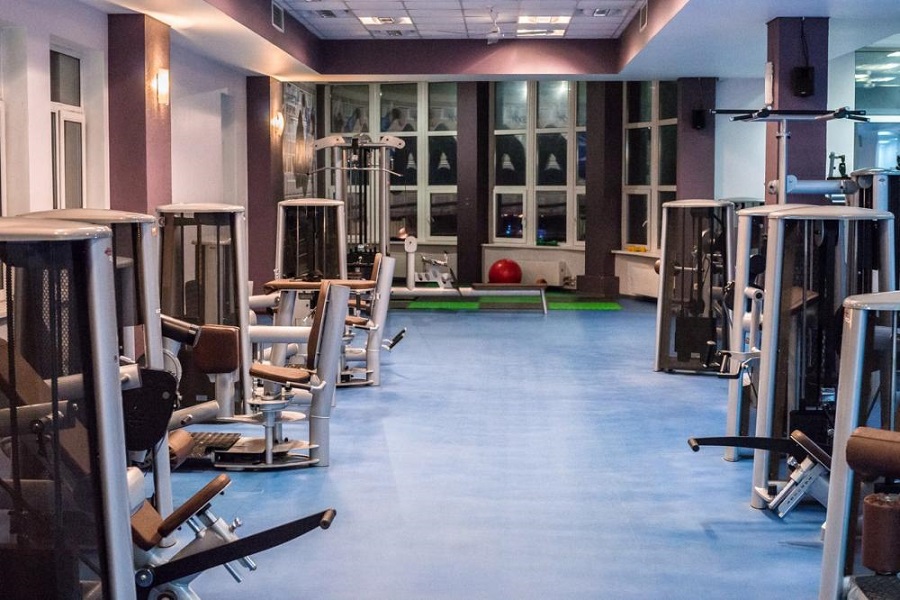 Зебра, г. Щёлково