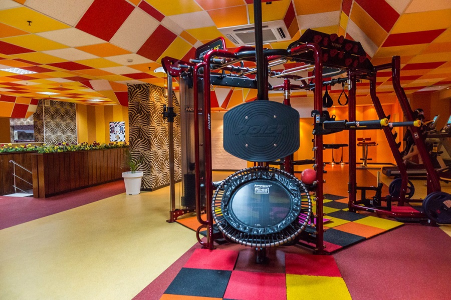 Зебра, м. Дубровка