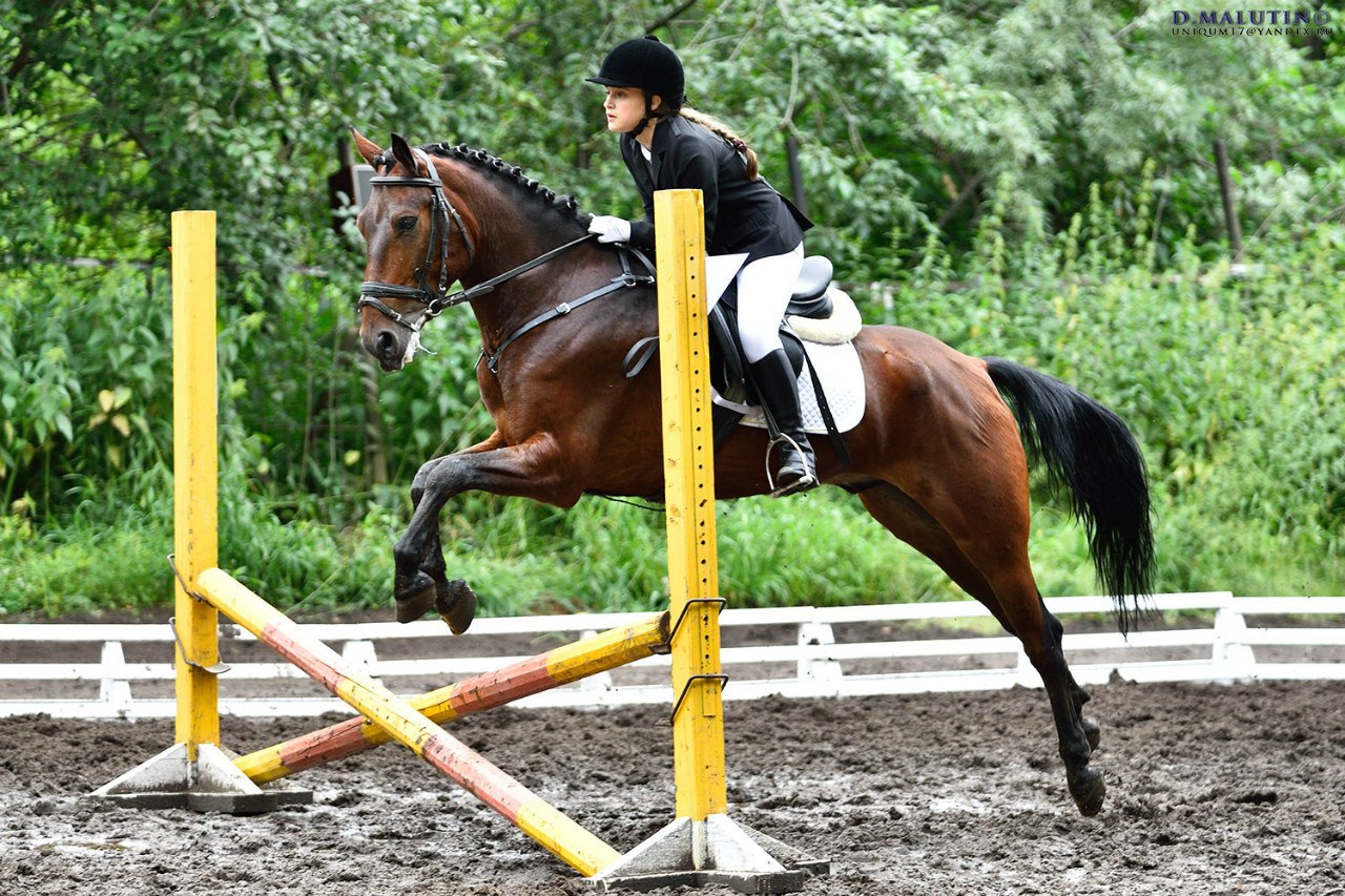 Сосновый бор