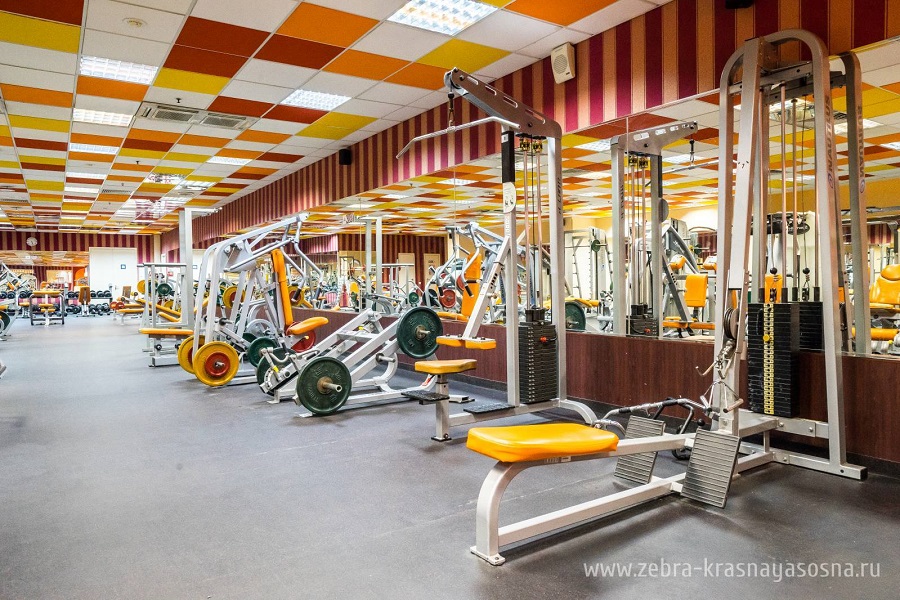 Зебра, м. Свиблово