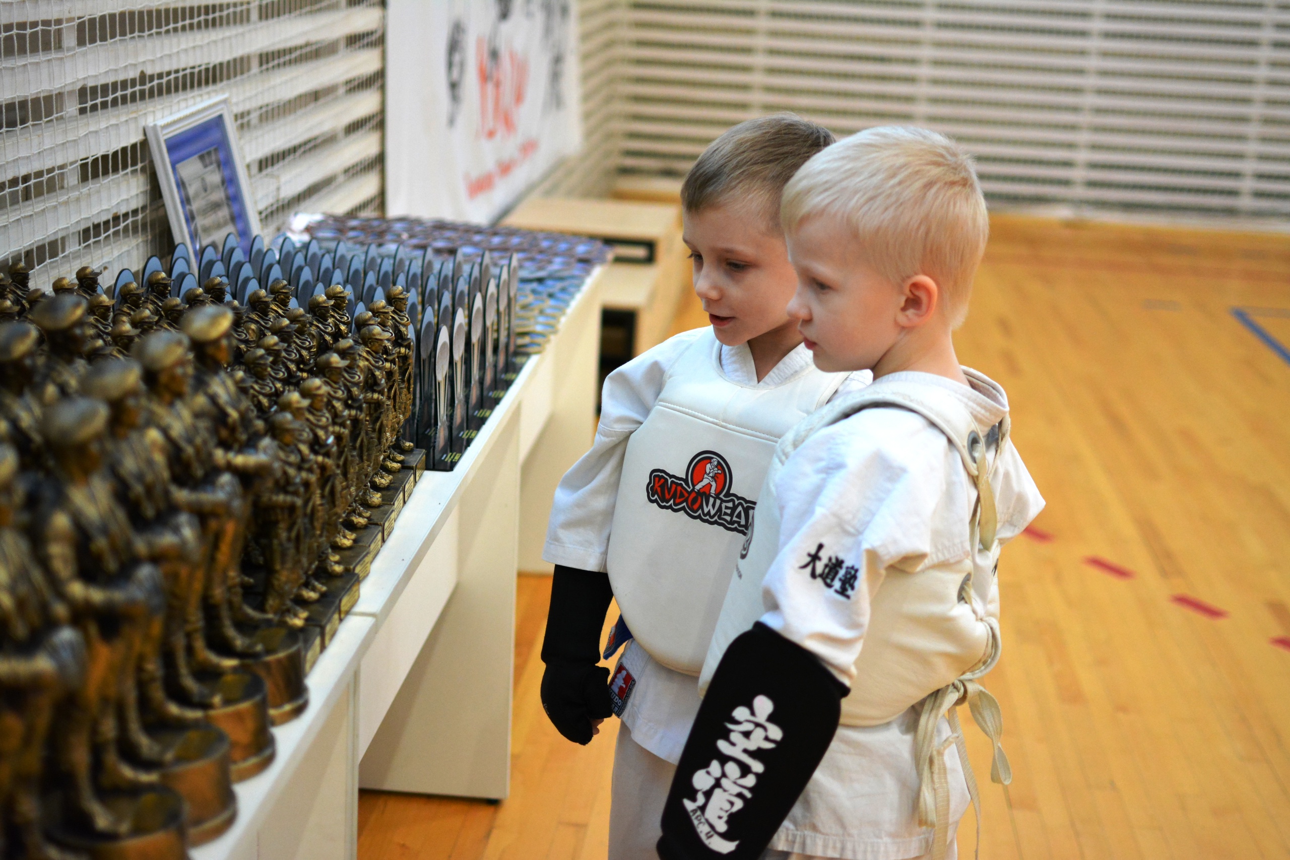 Федерация Кудо Псковской области