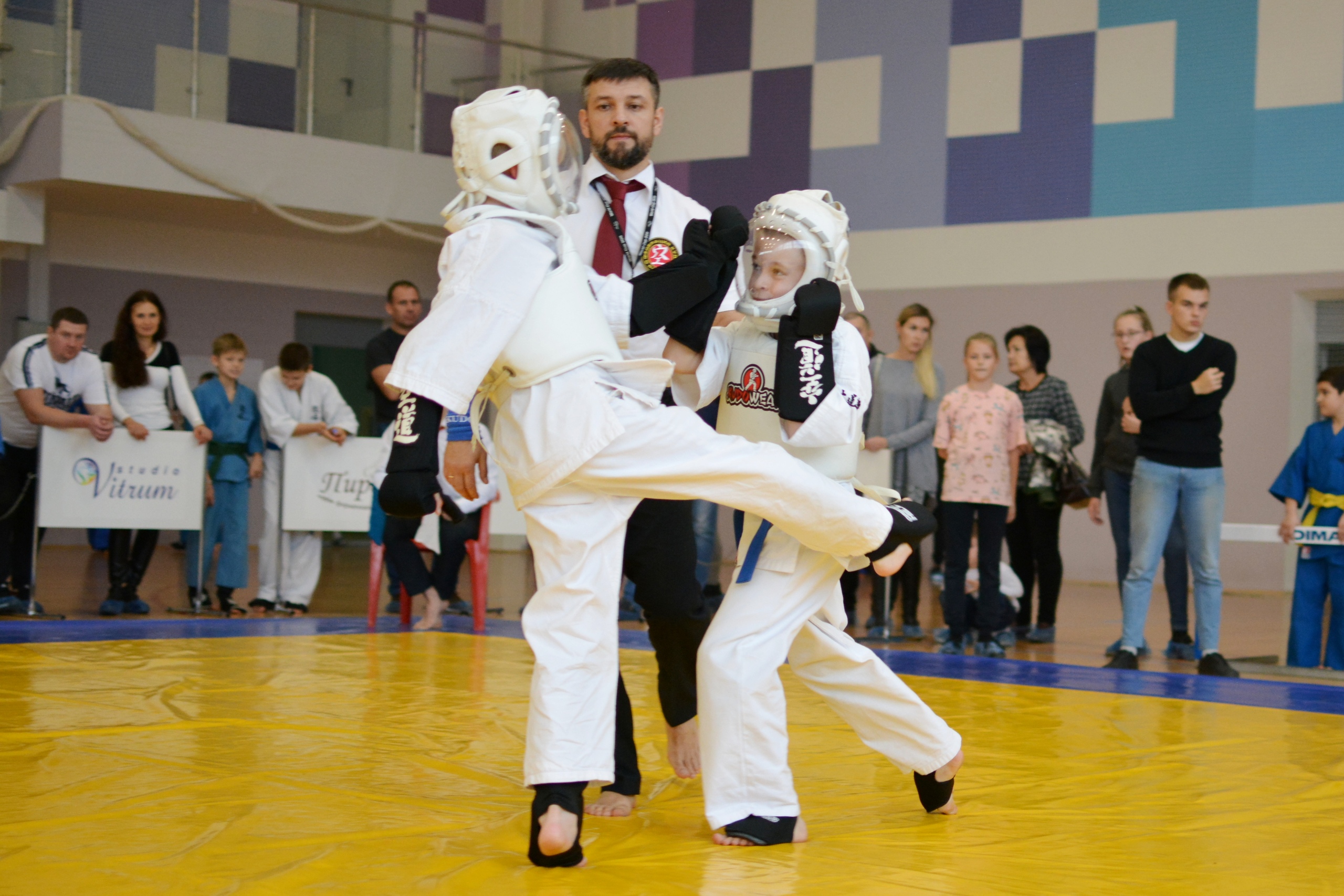 Федерация кудо города Пскова