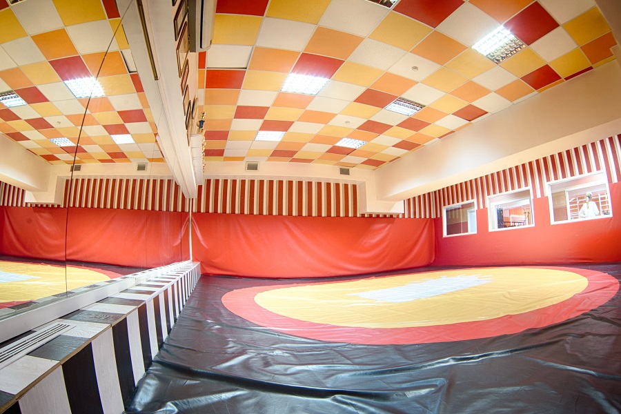 Зебра, м. Бауманская