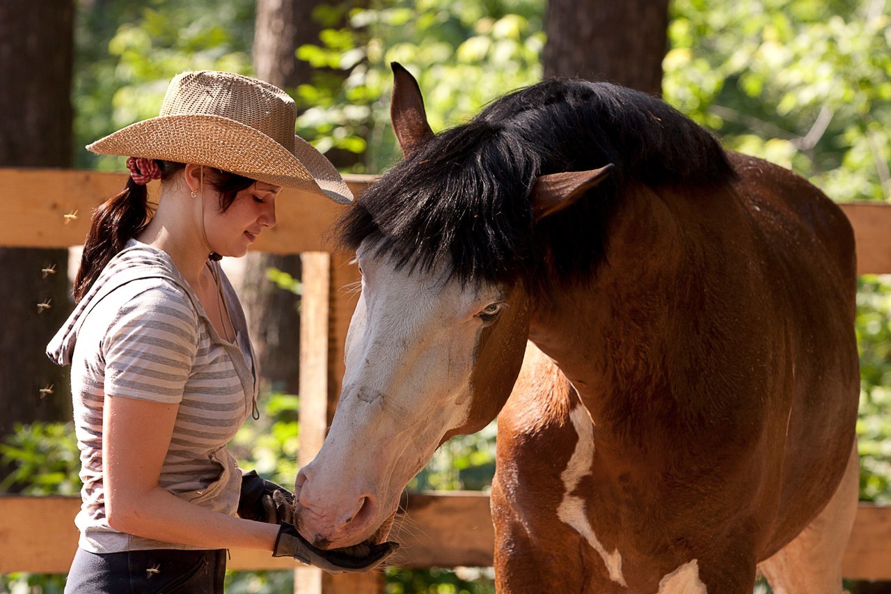 Сосновый бор