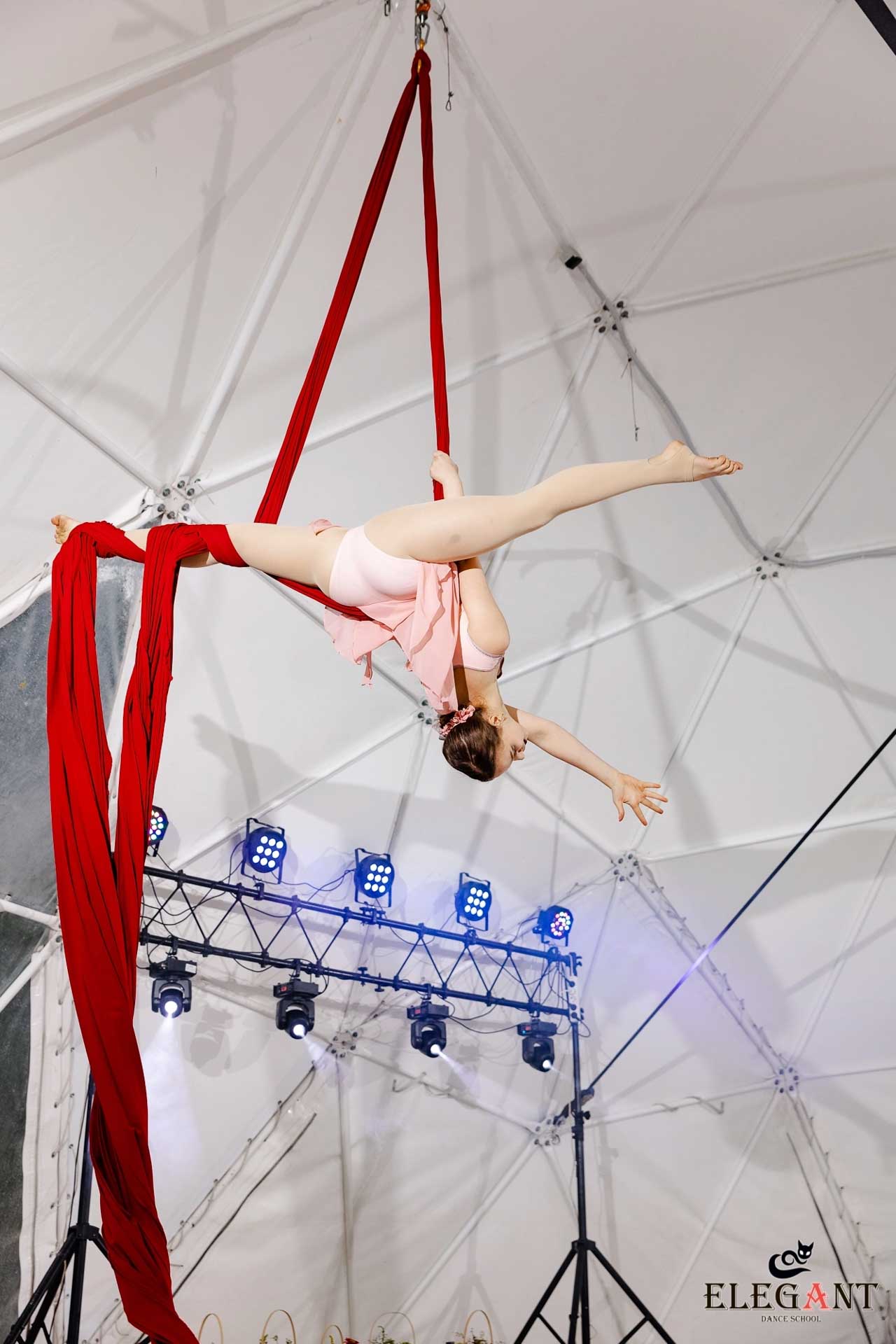 Elegant Pole Dance Kursk