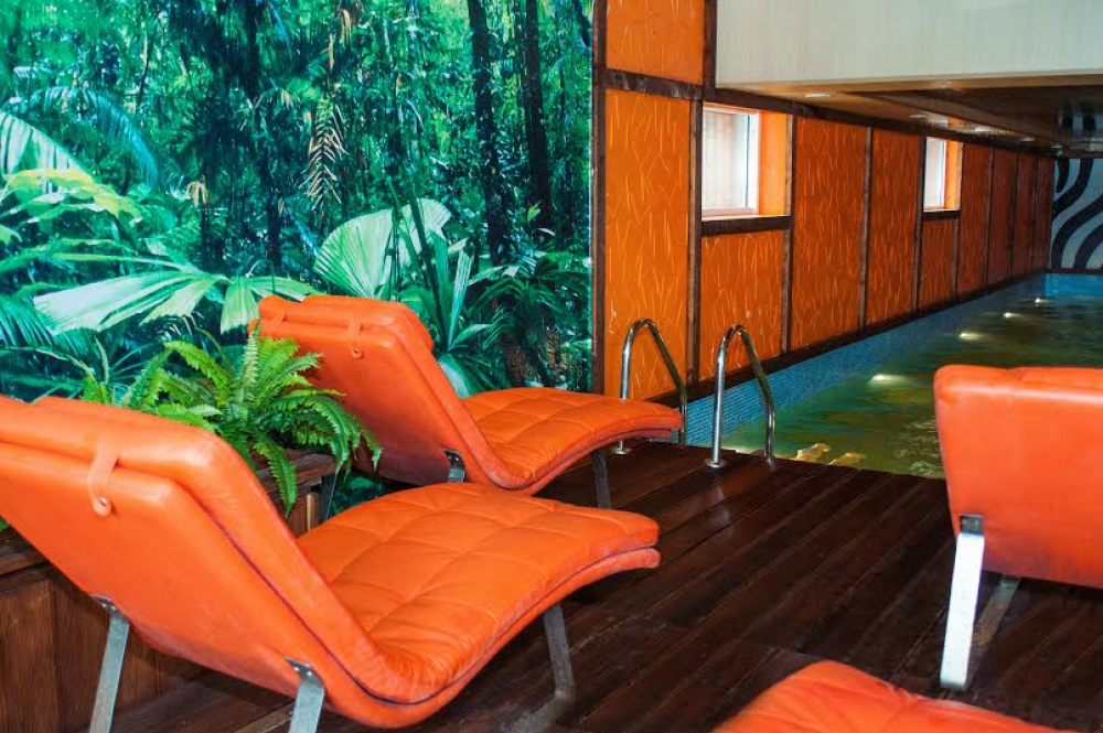 Зебра, м. Свиблово