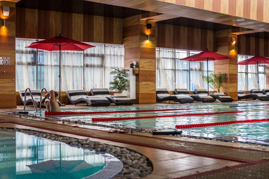 Зебра Олимпийский