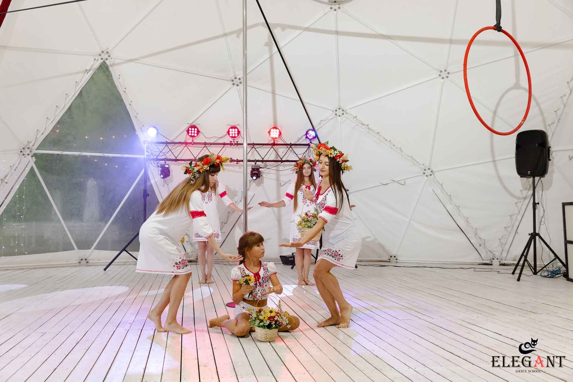 Elegant Pole Dance Kursk