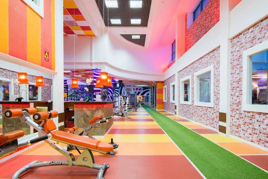 Зебра Алтуфьево