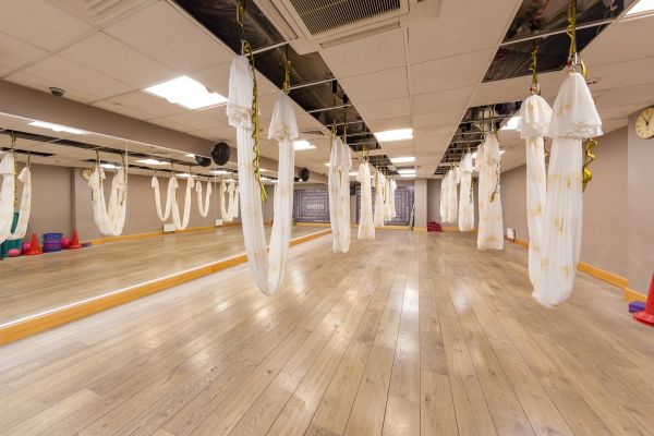 Онегинъ, м. Полянка