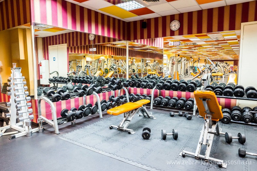 Зебра, м. Свиблово