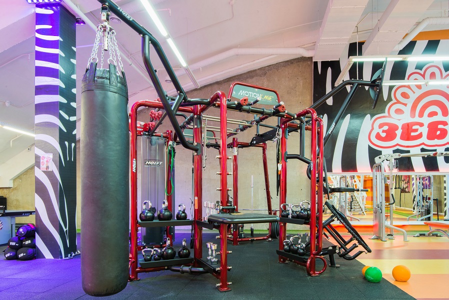 Зебра Алтуфьево