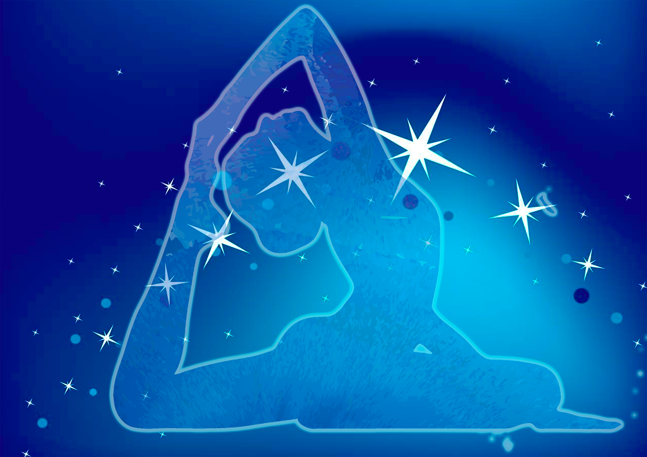 12 посещений