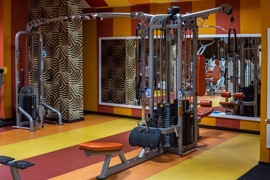 Зебра, м. Дубровка