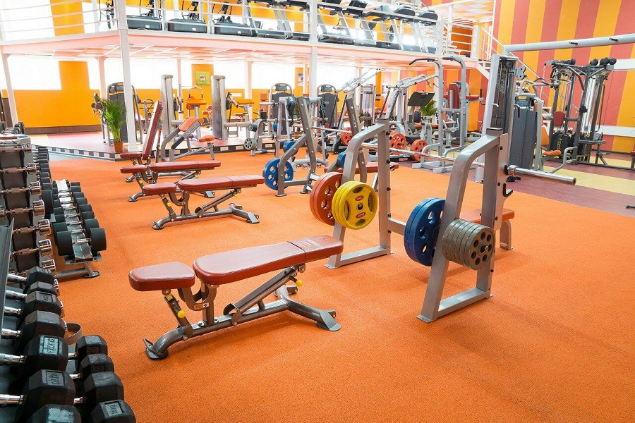 Зебра, м. Павелецкая