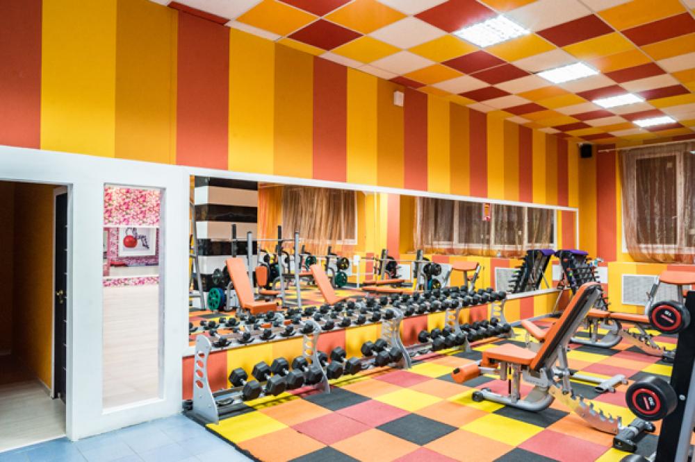 Зебра, м. Калужская