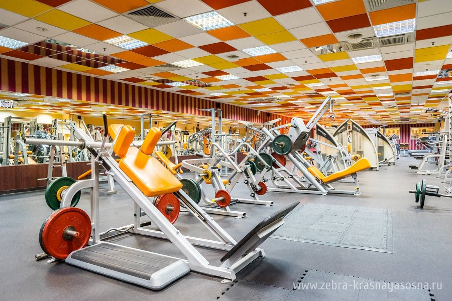 Зебра, м. Свиблово