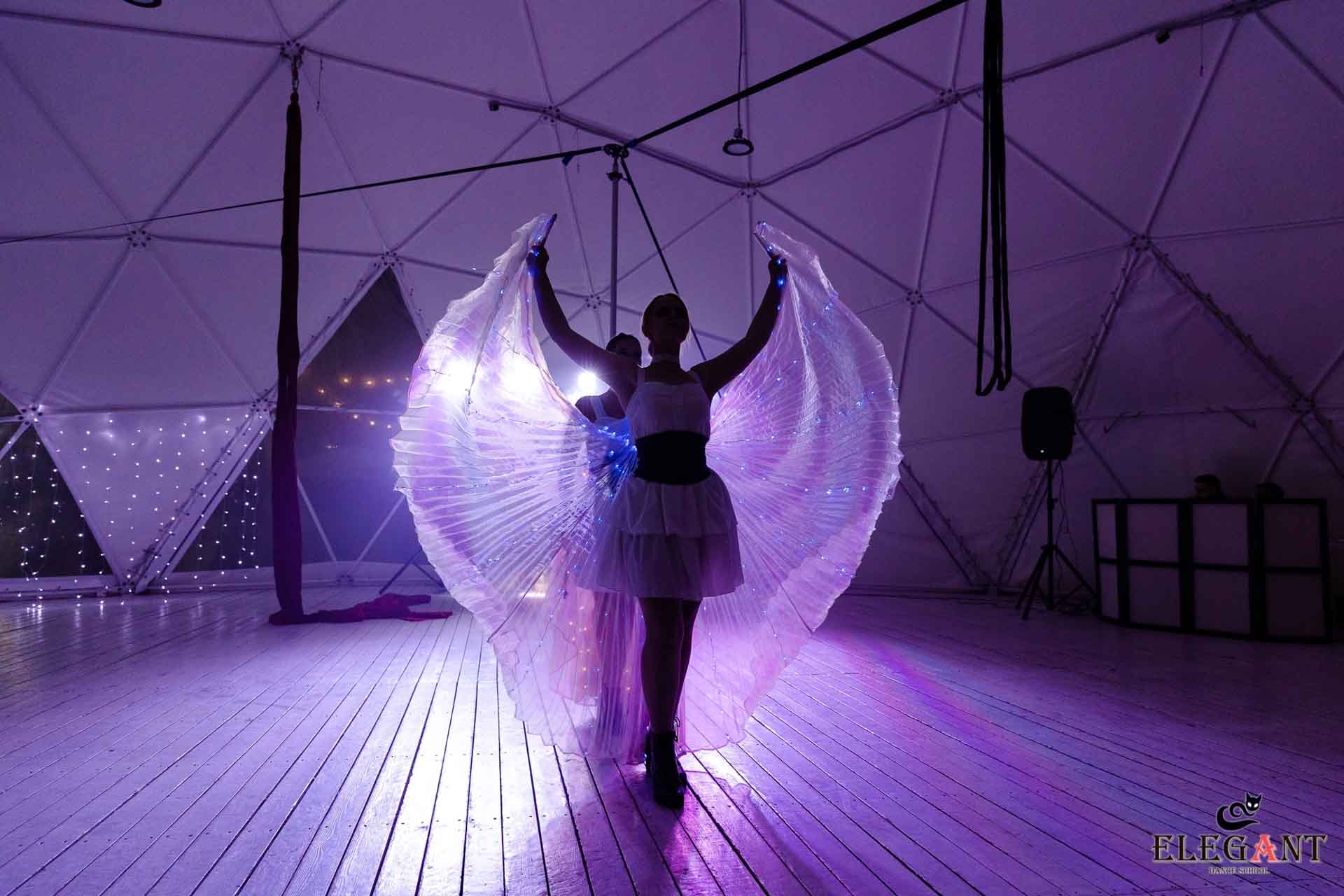 Elegant Pole Dance Kursk