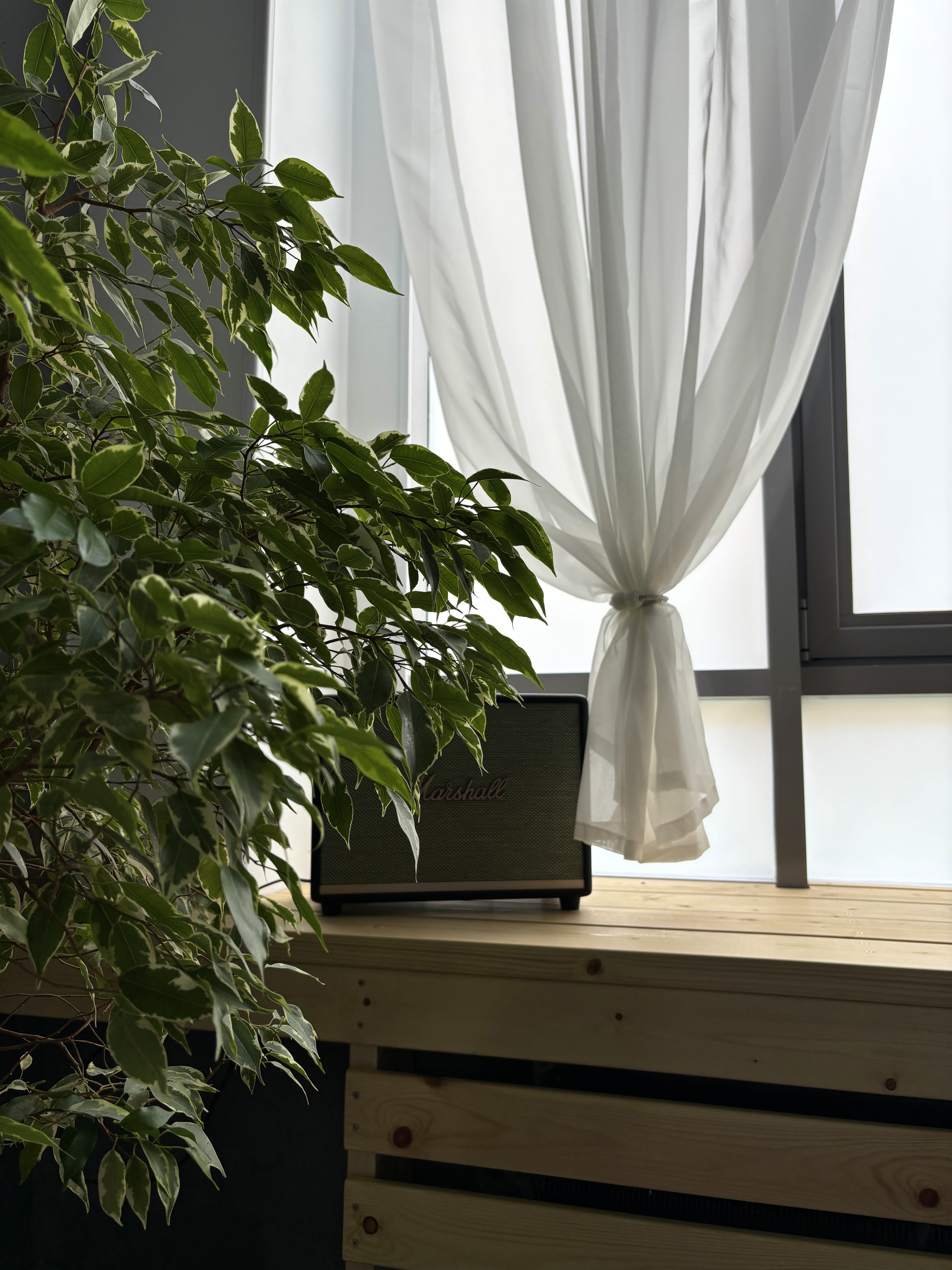 Студия йоги «Студия О2»