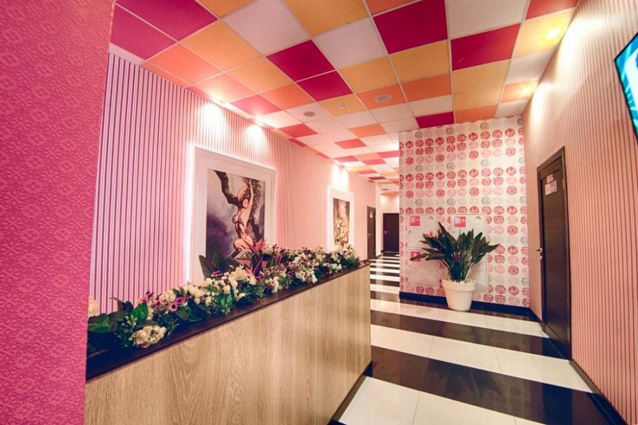 Зебра Олимпийский