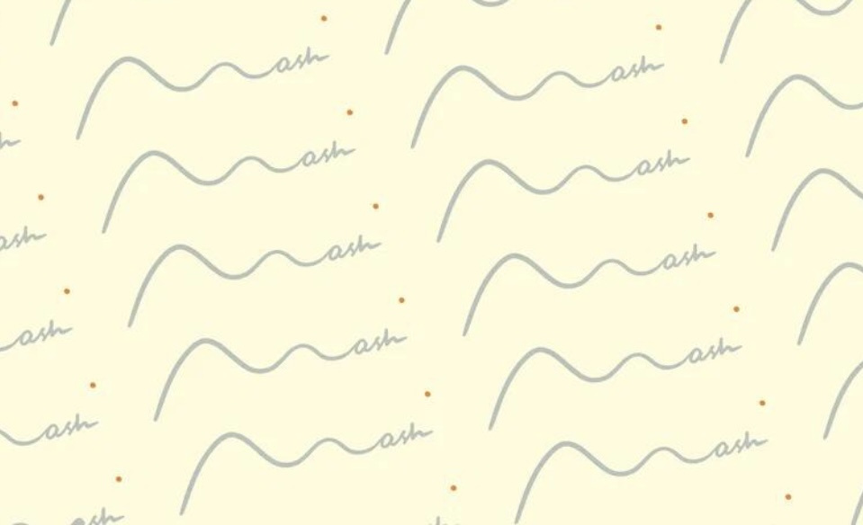 Модельная школа MASH