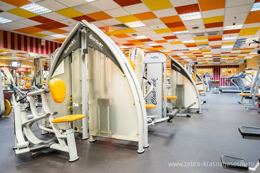 Зебра, м. Свиблово