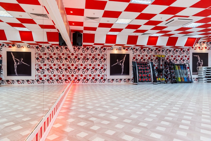 Зебра, м. Дубровка