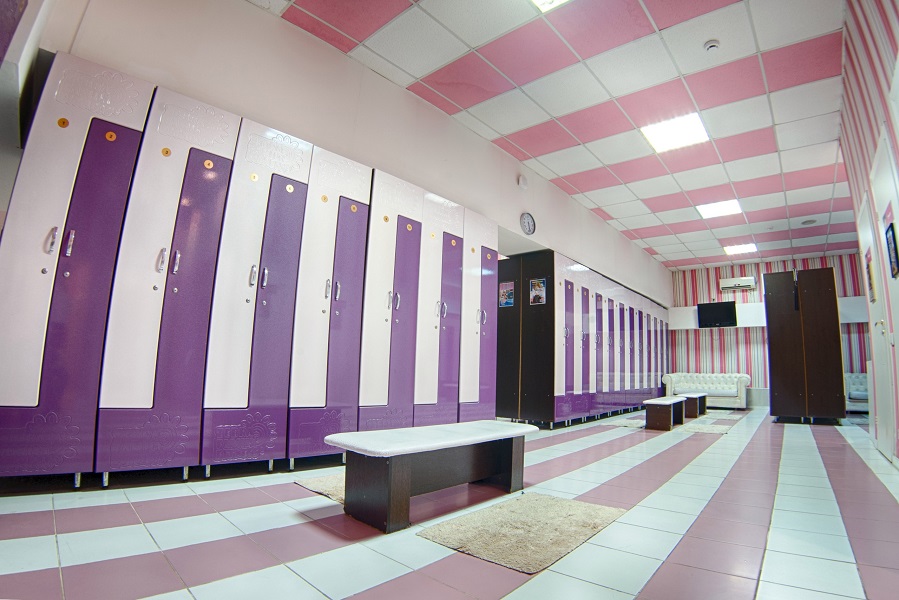 Зебра, м. Бауманская