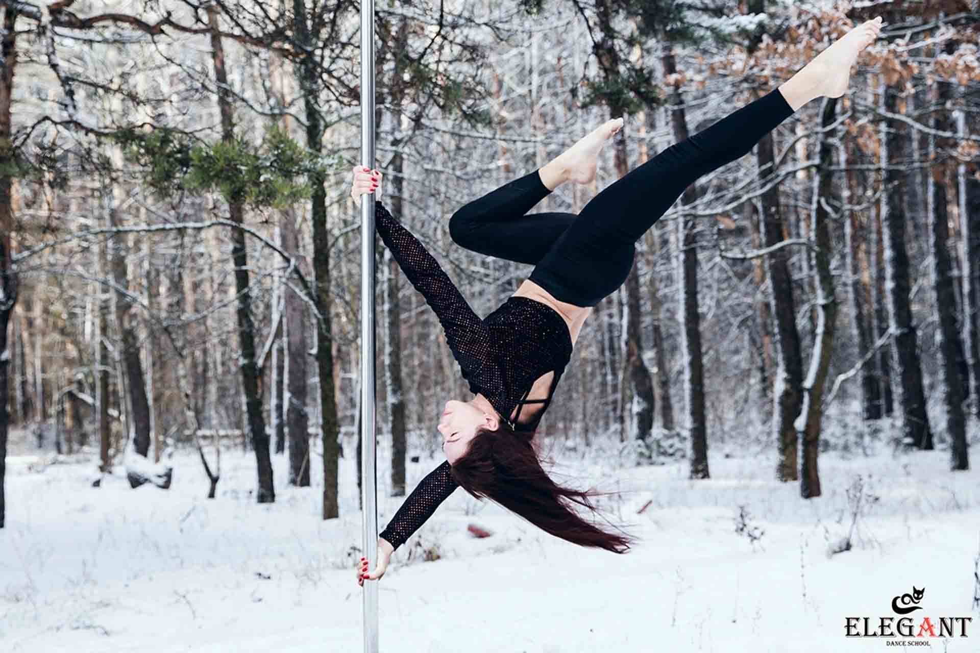 Elegant Pole Dance Kursk