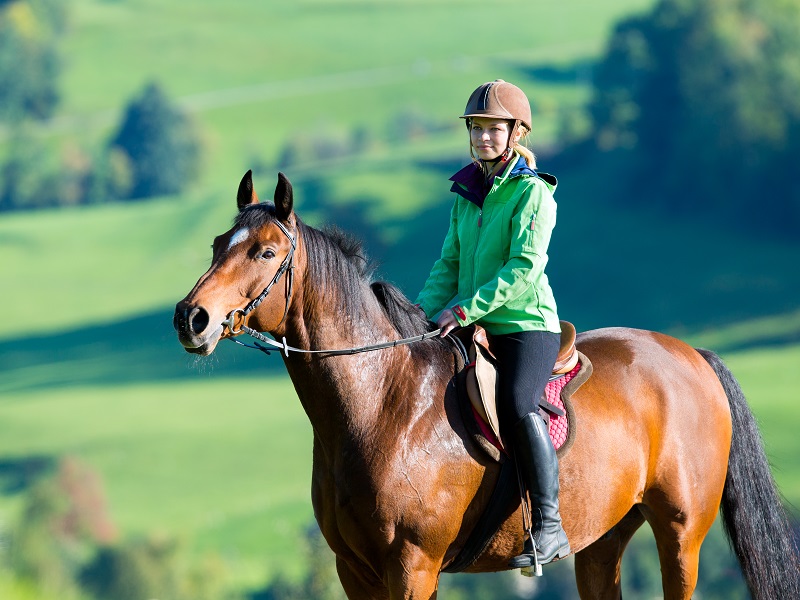 Администратор