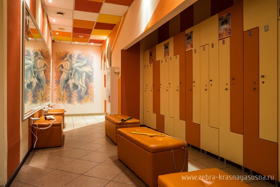 Зебра, м. Свиблово