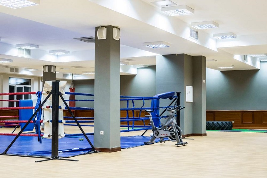 Зебра, г. Щёлково