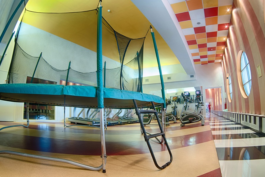 Зебра, м. Бауманская