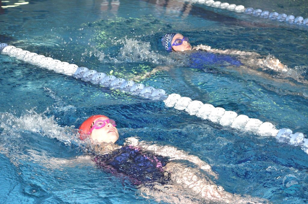 Дельфин, ул. Кропоткина