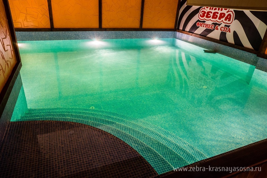 Зебра, м. Свиблово