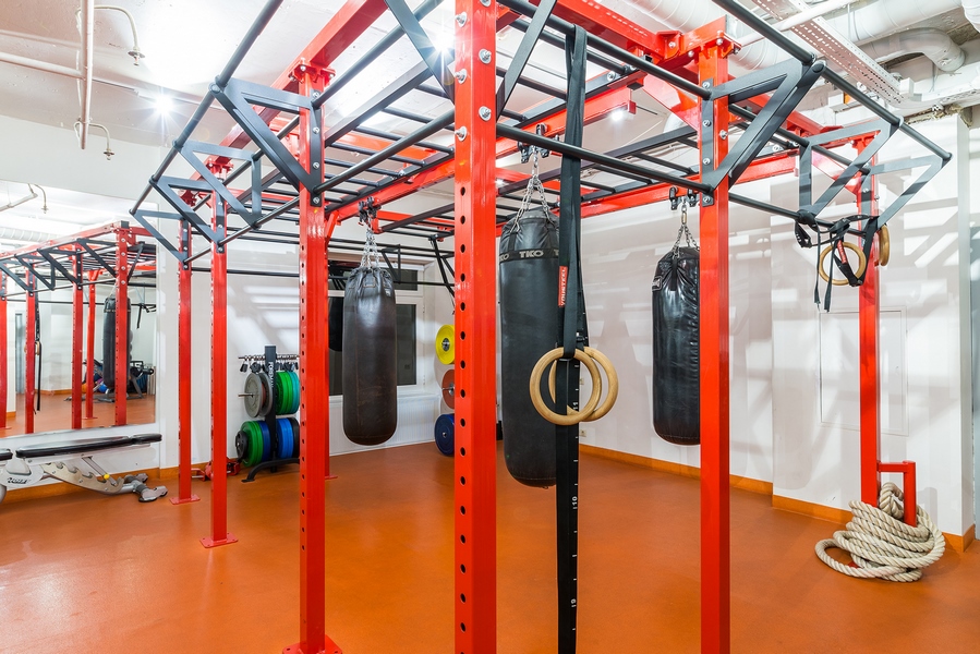 Dr.Loder, Академическая