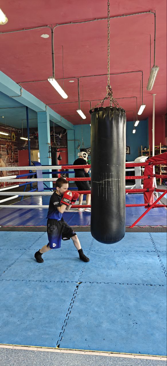 Философия Бокса