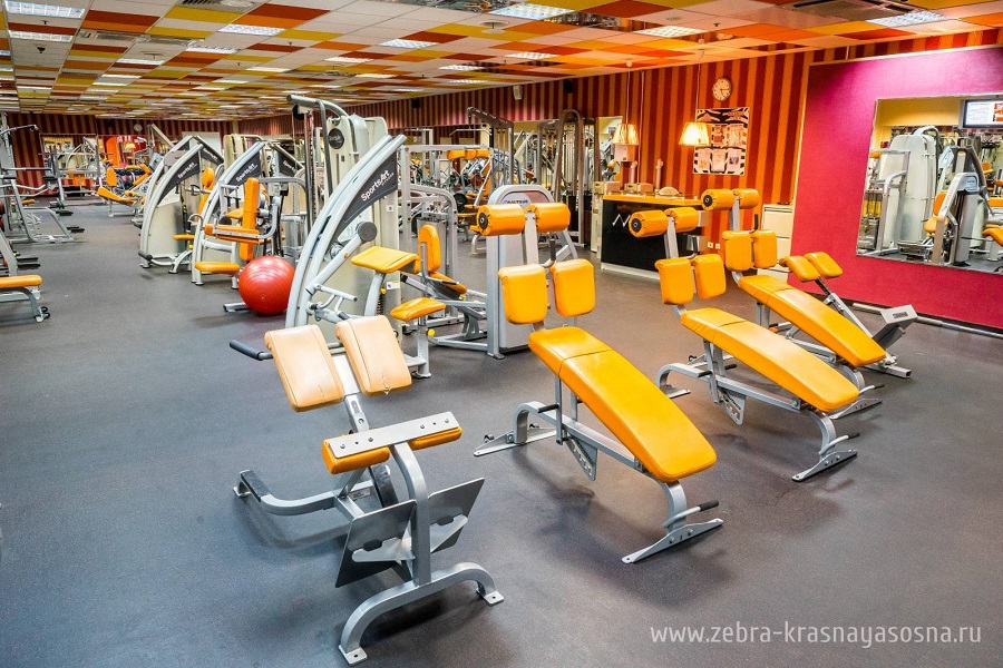 Зебра, м. Свиблово