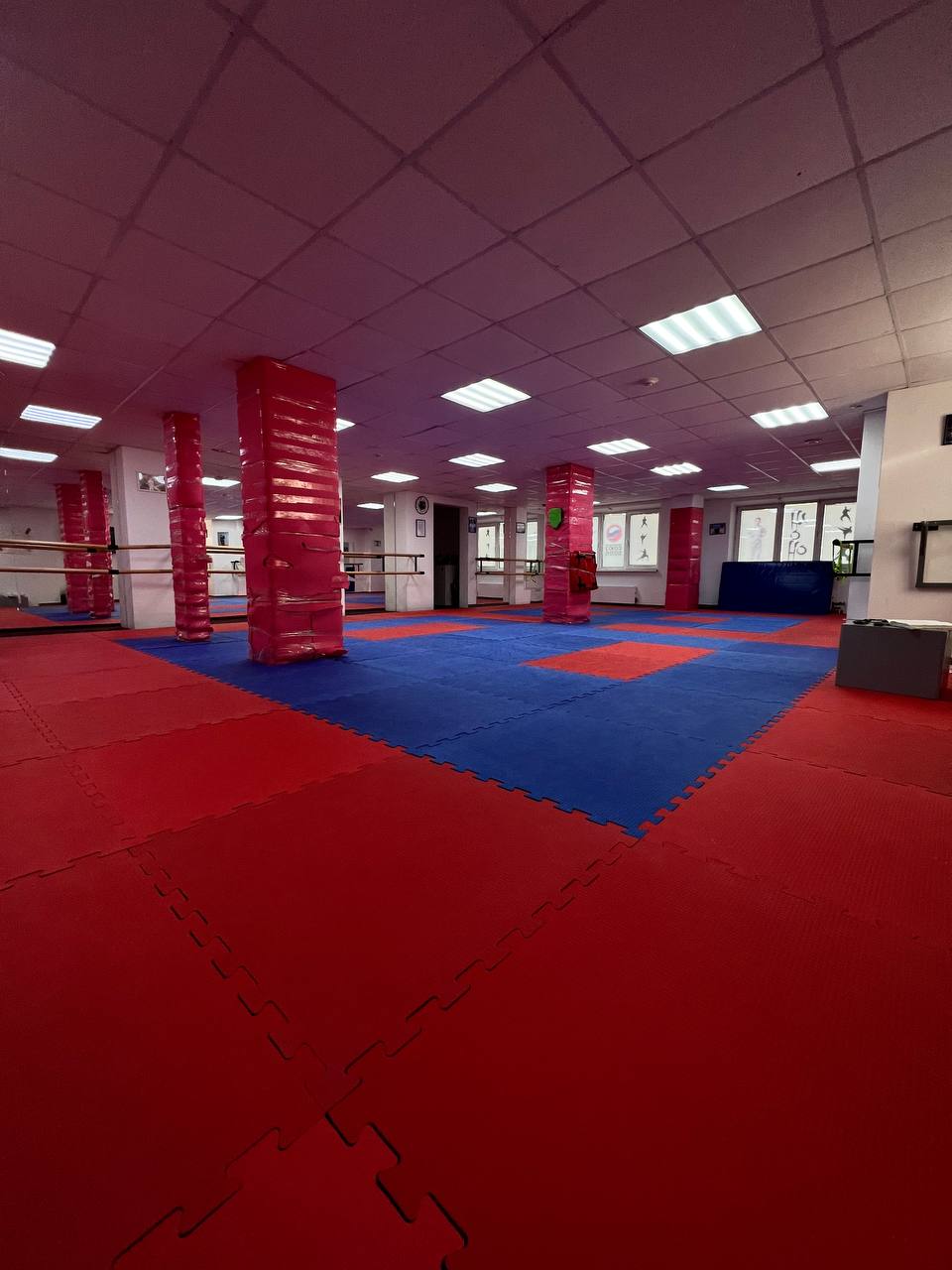 Нижегородская Школа боевых искусств «СЭНЭ»