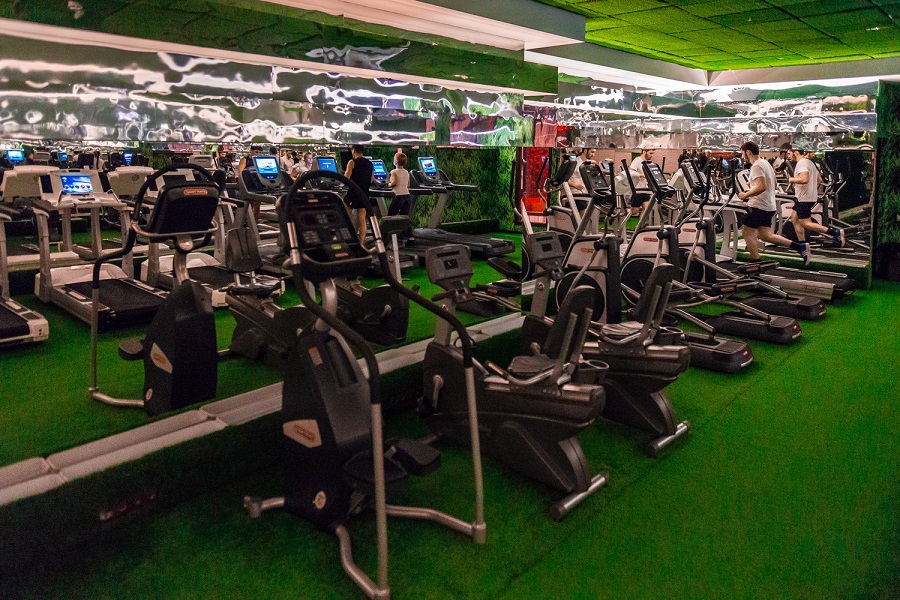 Зебра, м. Дубровка