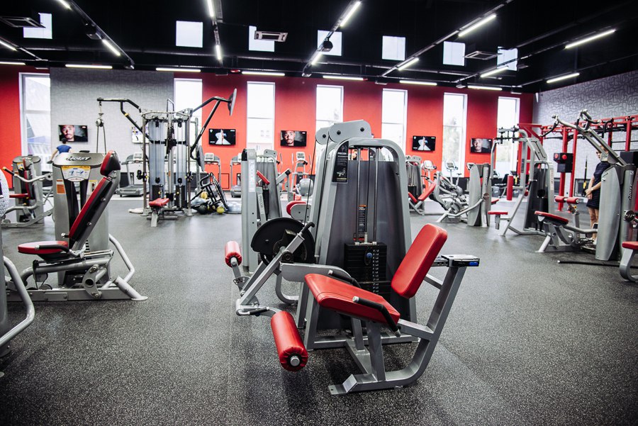 World Gym Вешки