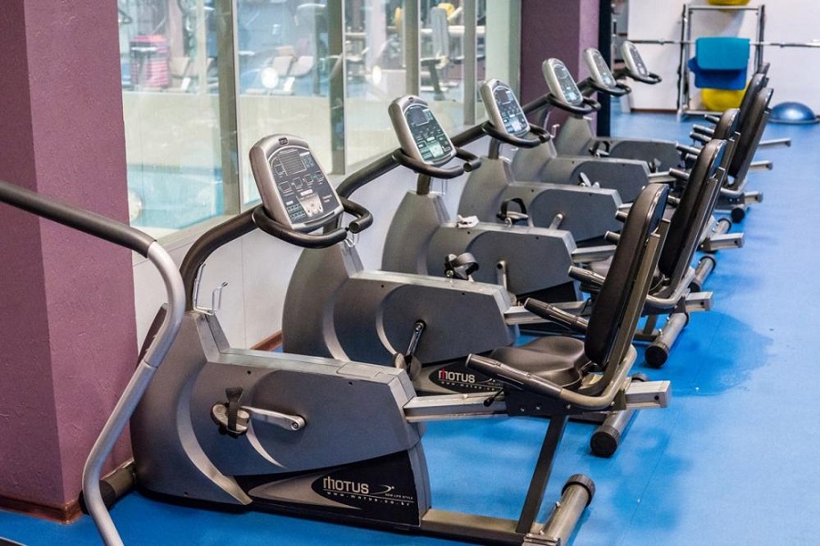 Зебра, г. Щёлково