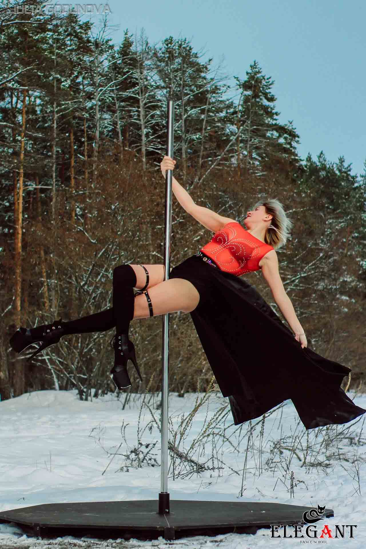 Elegant Pole Dance Kursk