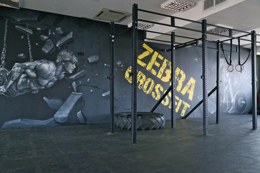 Зебра, г. Щёлково