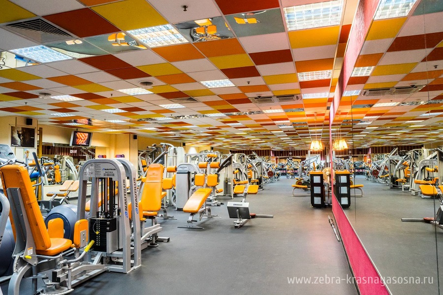 Зебра, м. Свиблово