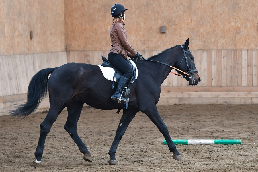 Сосновый бор