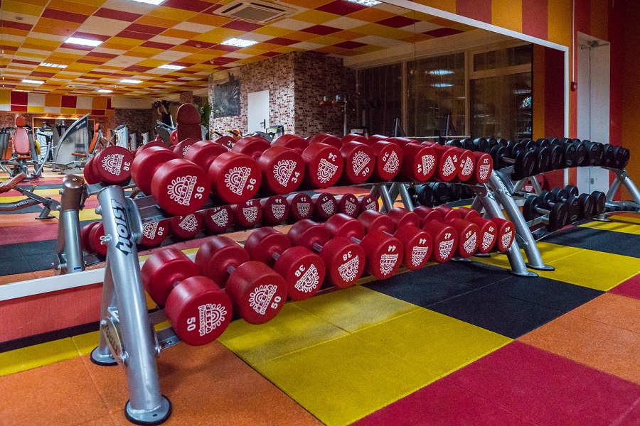 Зебра, м. Дубровка