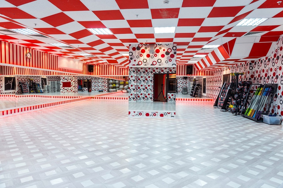 Зебра, м. Дубровка